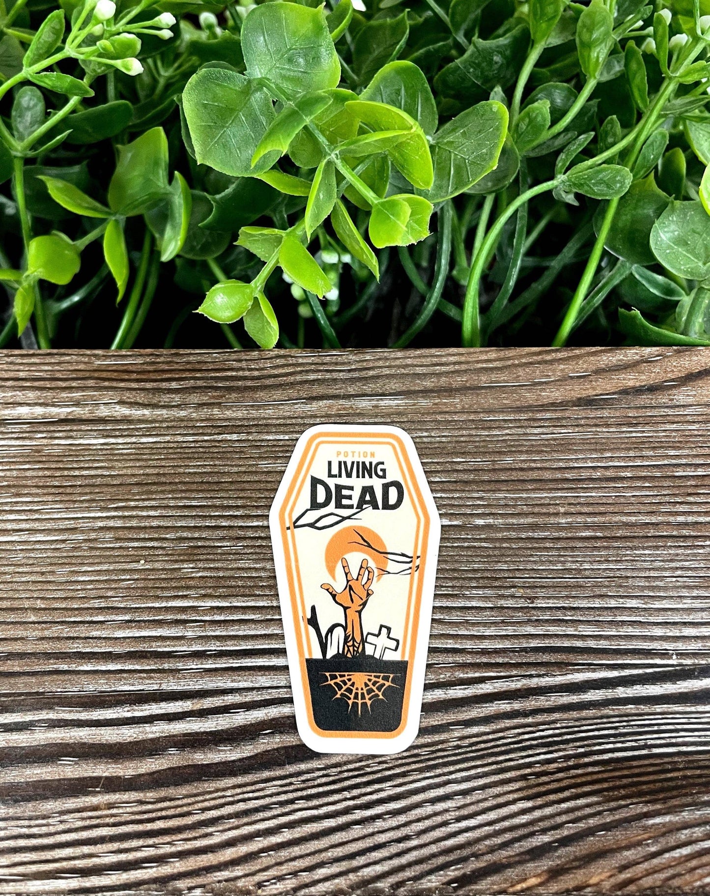 Living Dead Potion, Die Cut Vinyl Sticker, Boho Fun, Water Resistant, Halloween Spooky Bottle Label