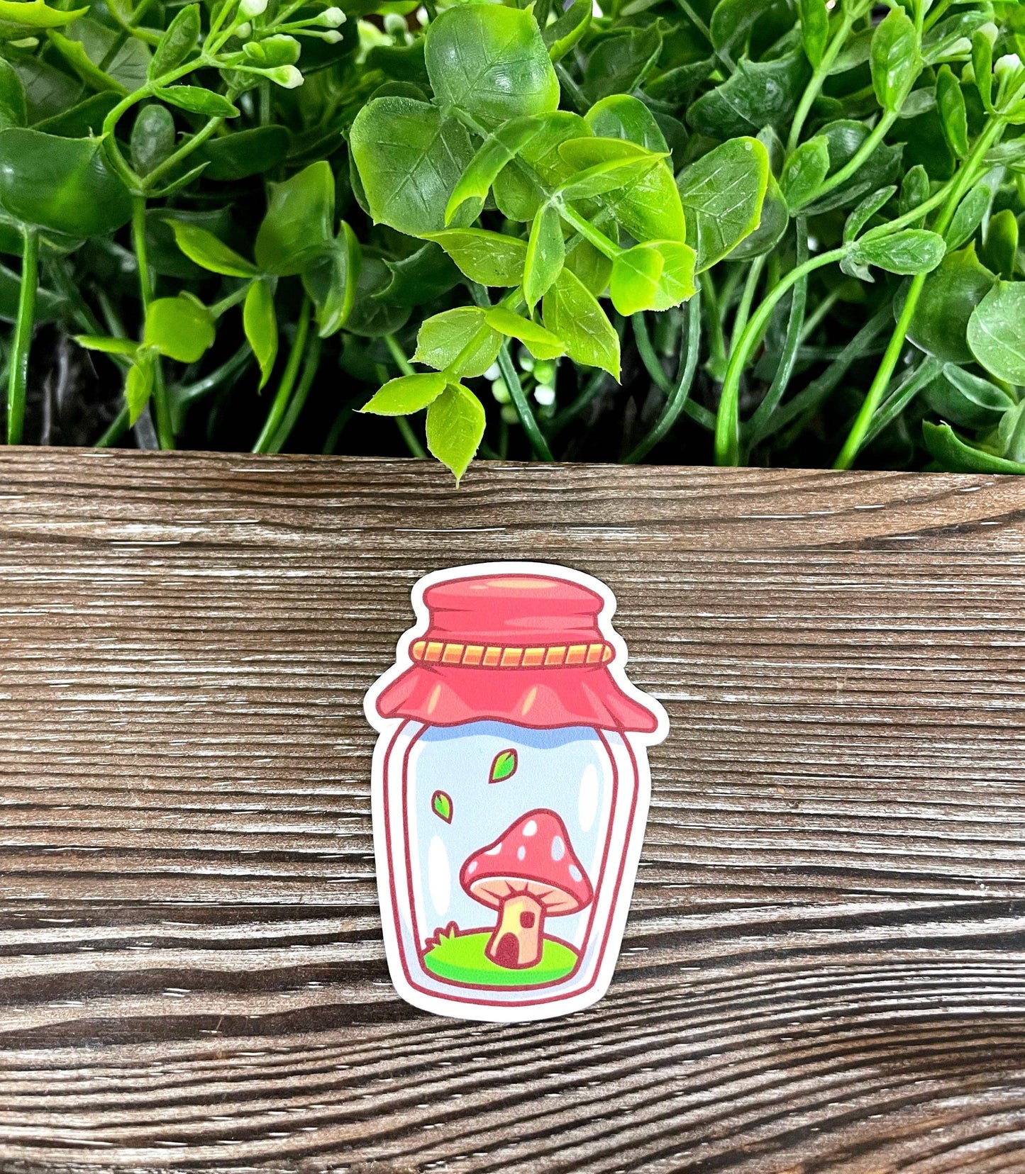 Mushroom in a Mason Jar, Die Cut Vinyl Sticker, Boho Fun, Water Resistant, Fungi Shrooms Toadstool