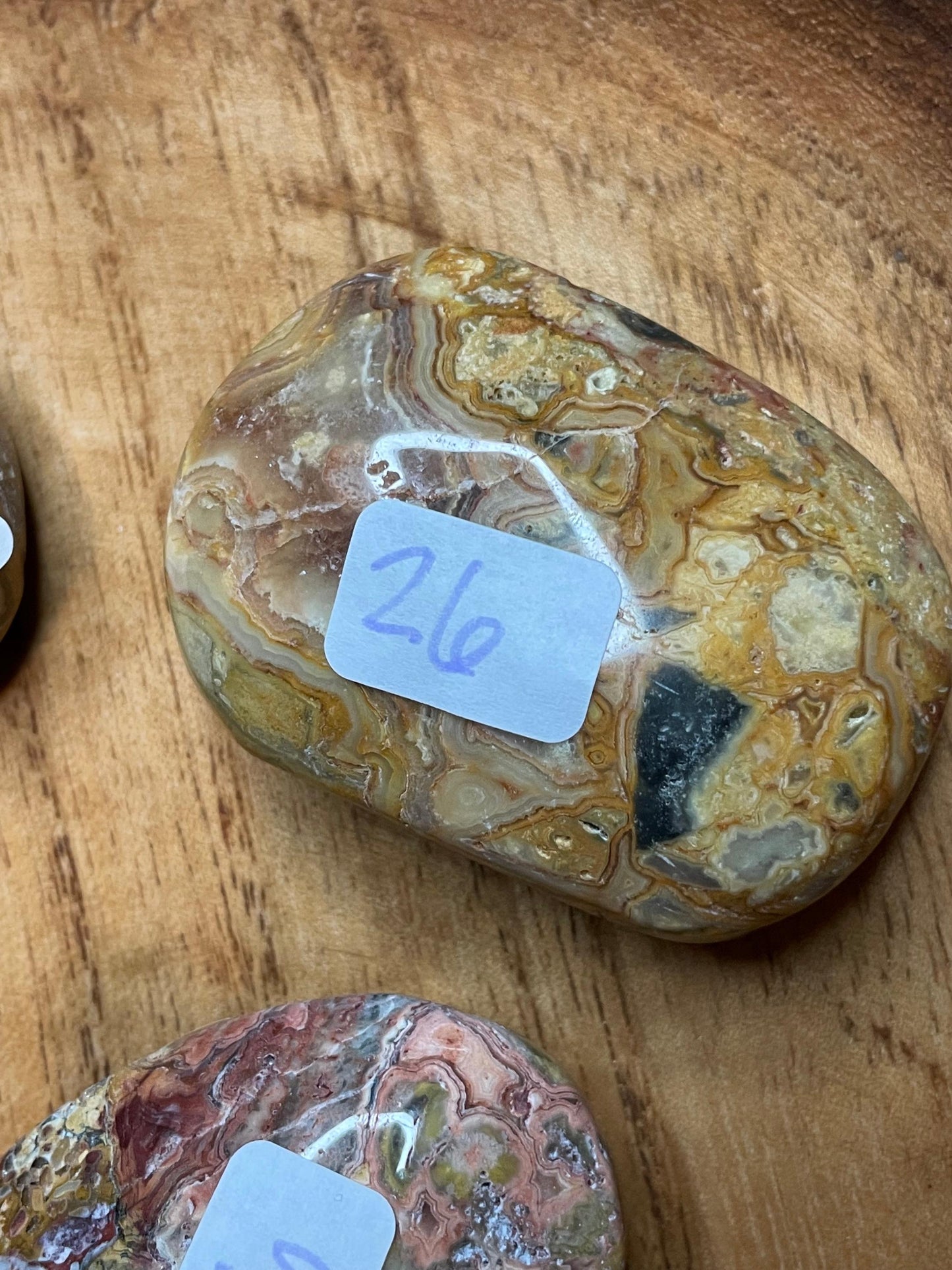 Crazy Lace Agate Palmstones