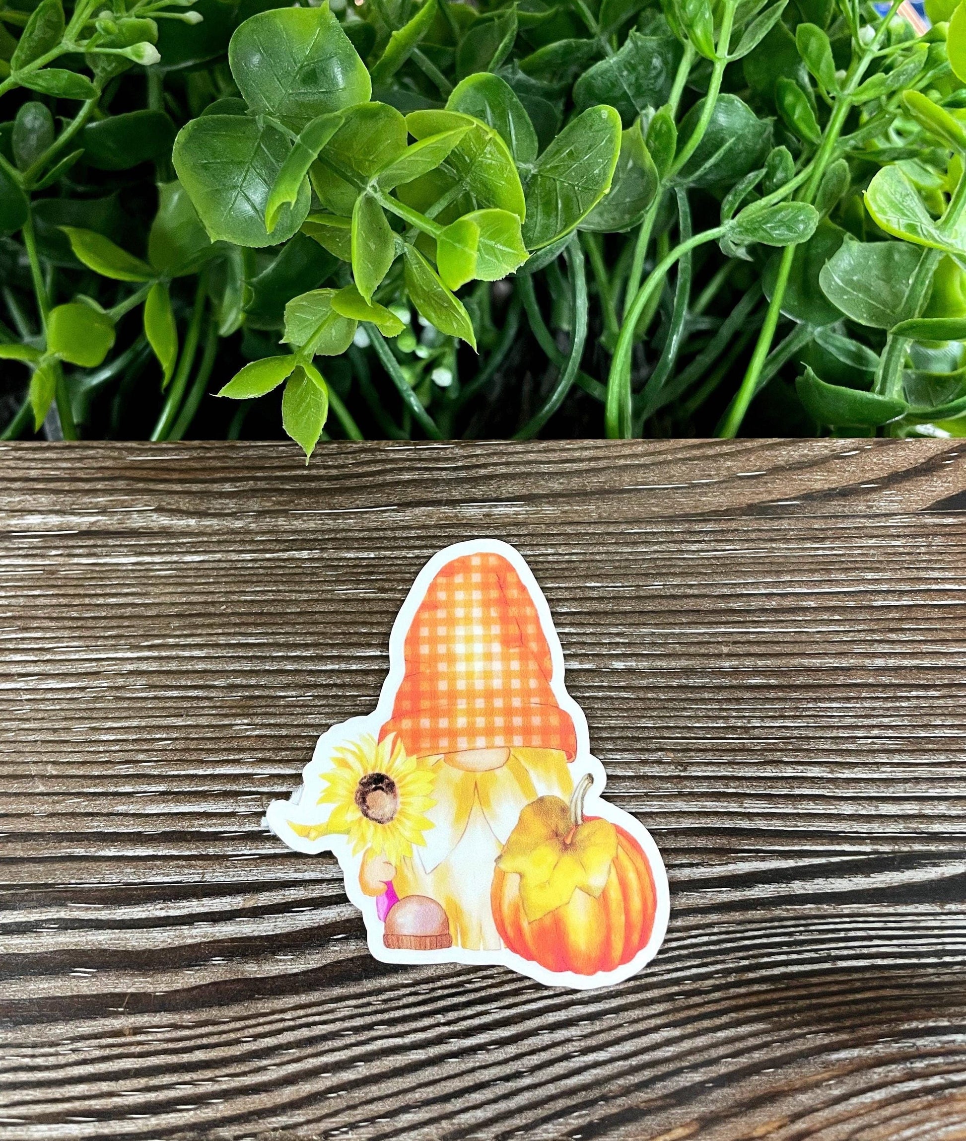 Fall Gnome Sunflower and Pumpkin, Die Cut Vinyl Sticker, Boho Fun, Water Resistant, Fall Season Orange Autumn